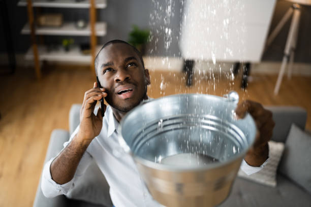 Best Water damage restoration near me  in Mabscott, WV
