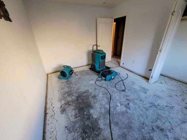 Best Professional water damage repair  in Mabscott, WV