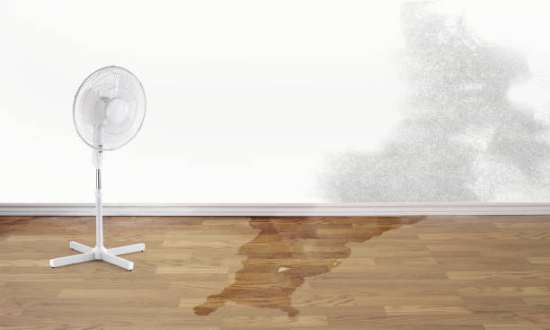 Water damage restoration process in Mabscott, WV