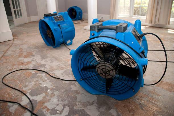 Best Flood restoration services  in Mabscott, WV