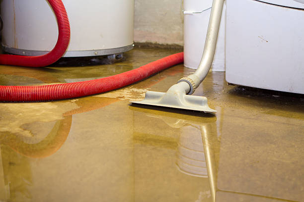 Best Emergency water extraction  in Mabscott, WV