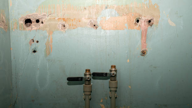 Best Water damage cleanup near me  in Mabscott, WV