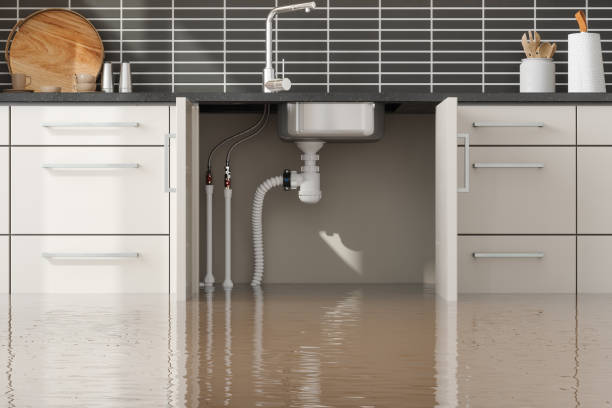 Best 24/7 water damage repair  in Mabscott, WV