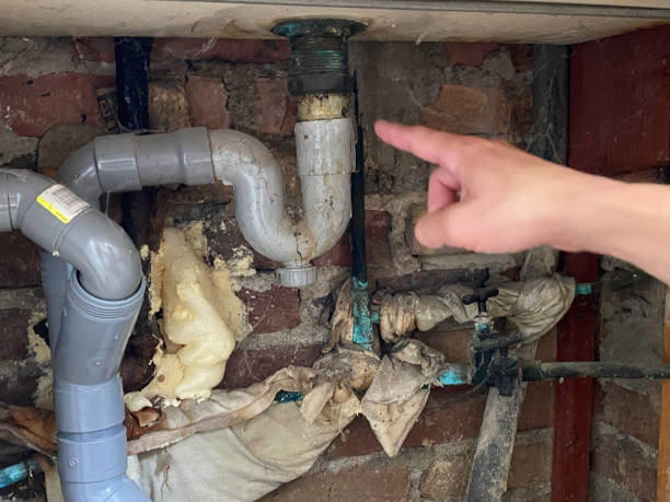Best Carpet water damage restoration  in Mabscott, WV