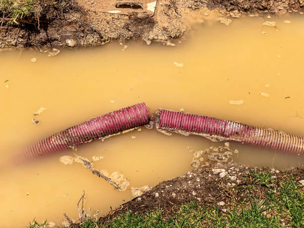 Best Carpet water damage restoration  in Mabscott, WV