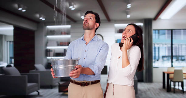 Best Basement water damage restoration  in Mabscott, WV