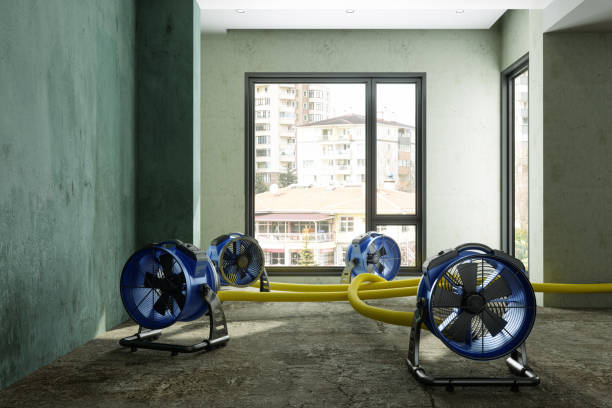Best Water damage restoration cost  in Mabscott, WV