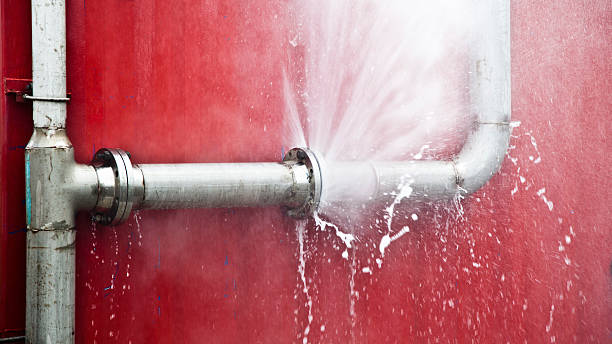 Best Local water damage restoration  in Mabscott, WV