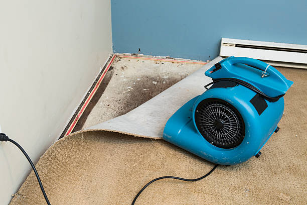 Best Water damage restoration near me  in Mabscott, WV